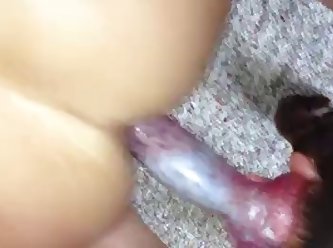 Beastiality Dog Fuck