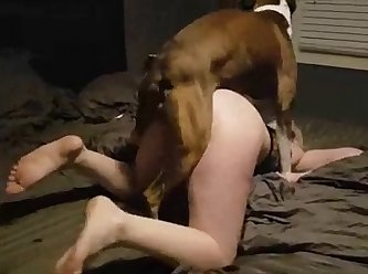 Dog Fuck Underneath