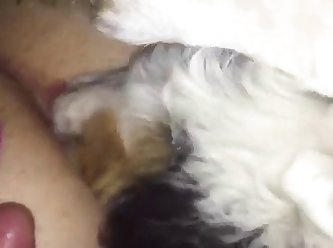 Fuck Naughty Dog Hoodie