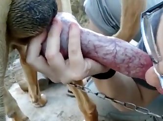 Fuck Pussy Dog