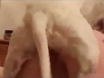 Girl Dog Fuck Vids