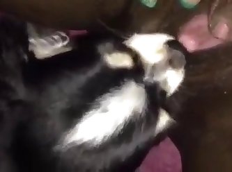 Dog Fuck Teen Snapchat