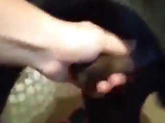 Dog Pain Fuck