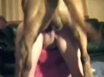 How To Find A Dog To Fuck