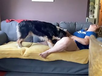 Dog Fuck Story