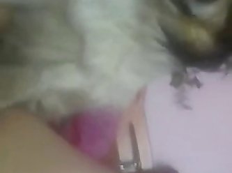 Denise Frazier Fuck Dog