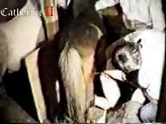 Dog Fuck Girl Missionary