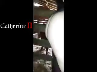 Female Dog Get Fuck