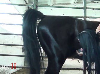 Massive Dog Fuck