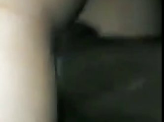 Horse Fuck Dog Pussy