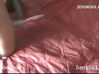 Girl And Dog Having Sex