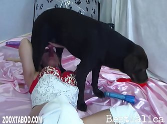Free Ts Porn