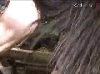 Black Amauter Porn