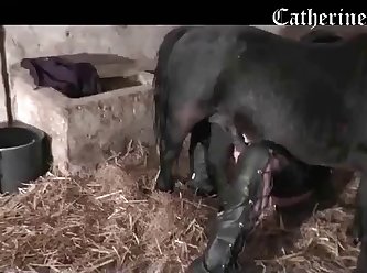 Beast Blowjob Porn