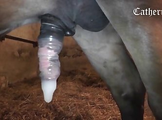 Porn Video Izle