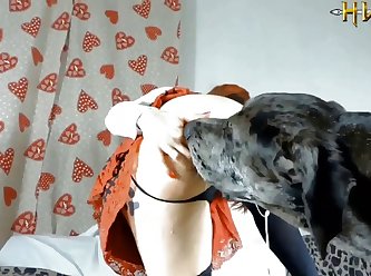 Men Having Sex With Animal Videos