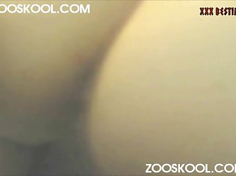 Animal Old Sex