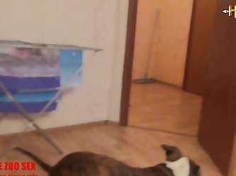 Animal Sex Group