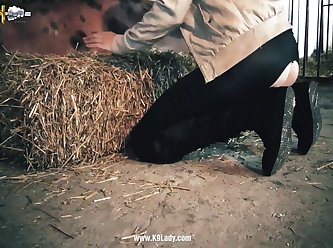 Animal Sex Video Cartoon