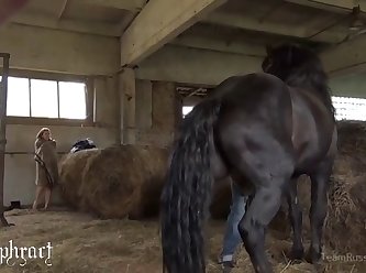 Animal And Human Sex Behaviour Nature