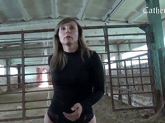 New Animal Sex Videos