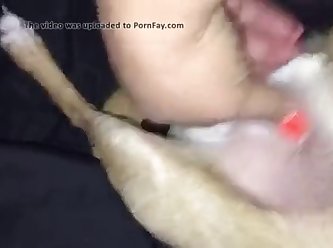Teen First Animal Sex