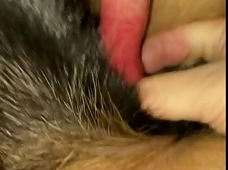 Forced Animal Sex Video