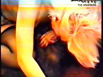 Animal Pron Sex Video