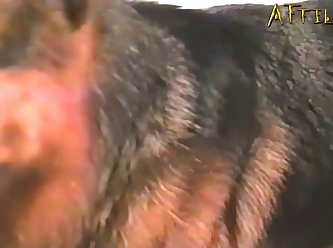 Animal Sex Cartoons With Women