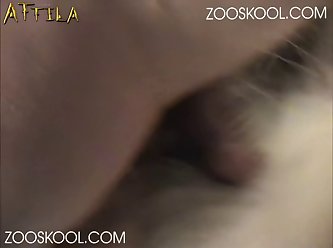 Animal Has Sex
