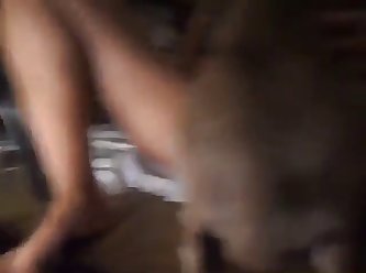 Italian Animal Sex