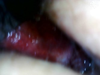 Free Sex Videos Animal