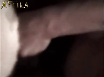 Hot Animal Sex Girl