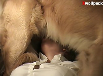 What Animal Has The Most Sex In The World