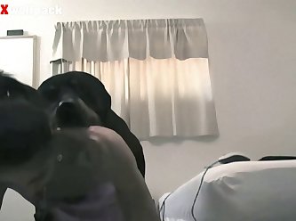 Animal Girl Sex Hd Video