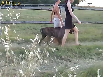 Sex Animal Xxx