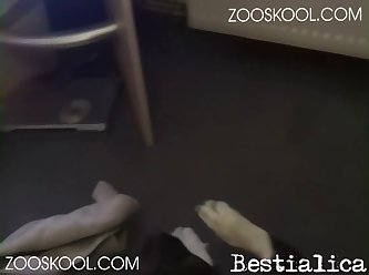 Exotic Animal Sex Porn