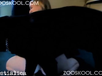 Human Have Sex Animal