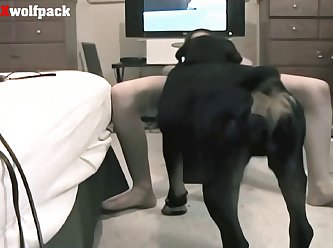 Passionate Animal Sex