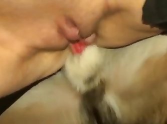 Bokep Sex With Animal