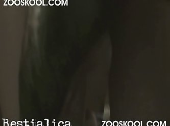 Porn With Animal Sex