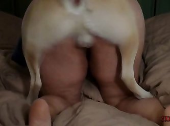 69 With Dog Porn