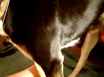 Woman Sex To Animal