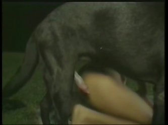 Girl Porn With Horse