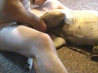 Zoofilia Latinas sexo