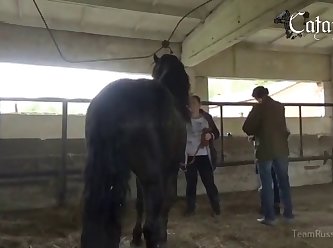 Animal Porn Hd
