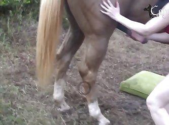 Latest Animal Porn Videos