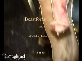 Animal Porn Hentai