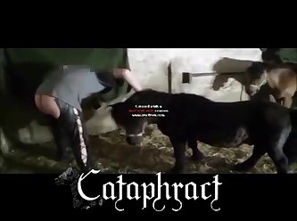 Is Animal Porn Legal
