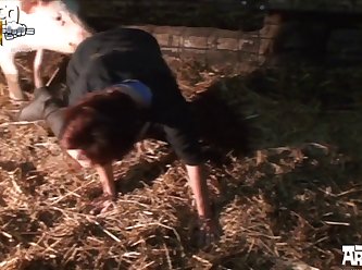 Animal Sex Porn